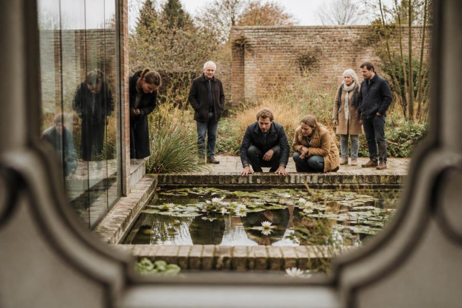 A Practical Guide to Creating a Healthy, Balanced Garden Pond